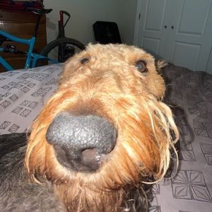 Meet your Posher, Cade